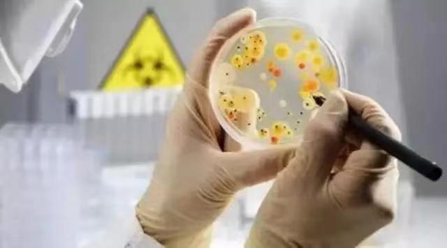 为您提供全面而专业的食品安全检测解决方案