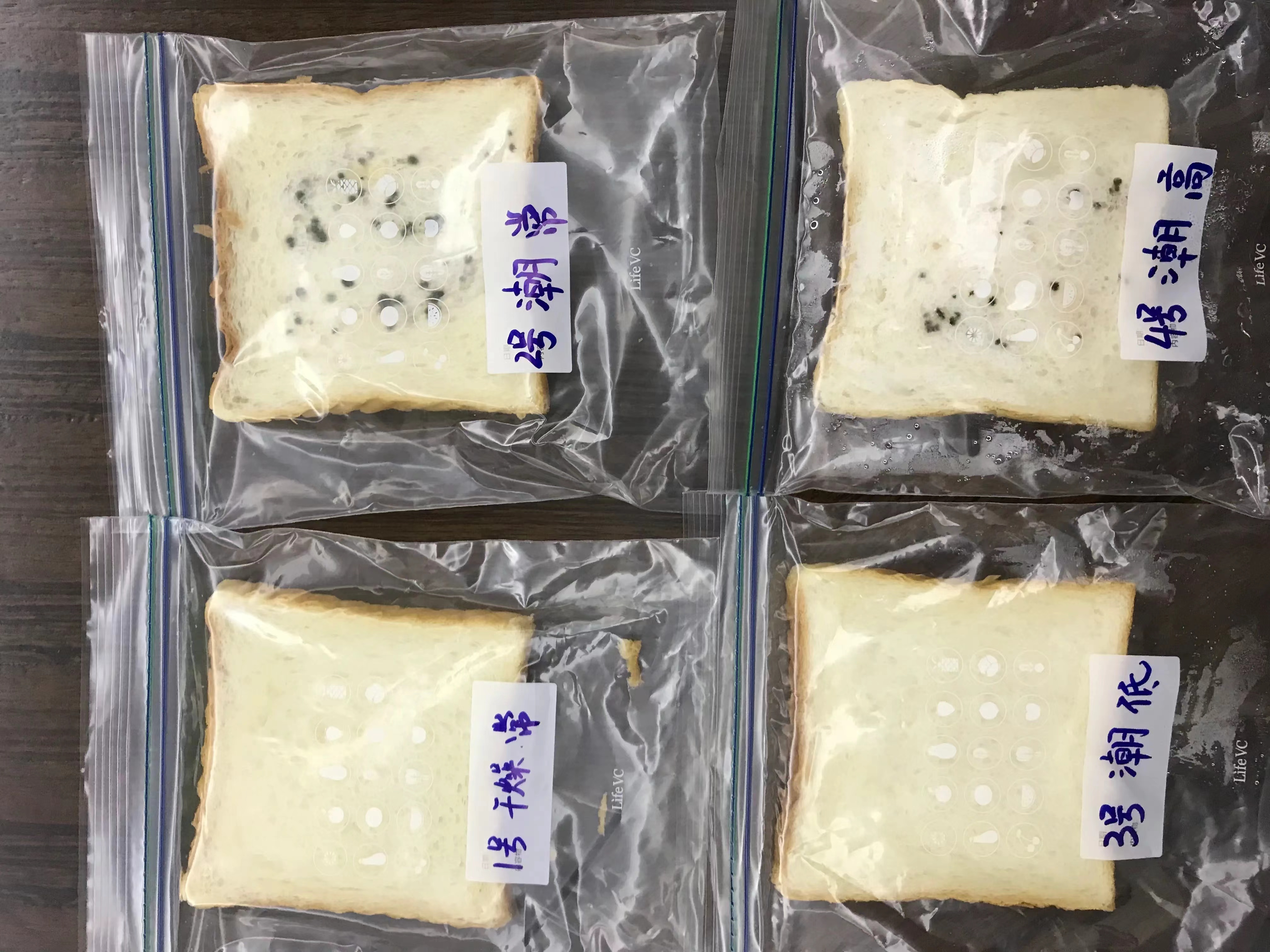 确保太原地区食品安全的重要机构