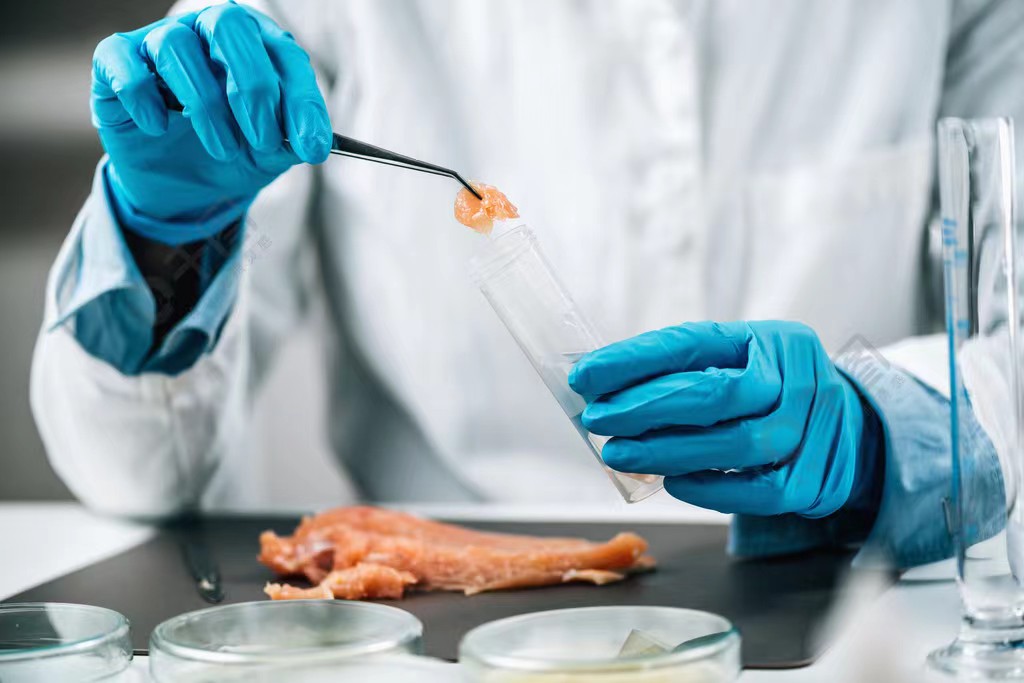 月饼生产过程中的关键检验要点