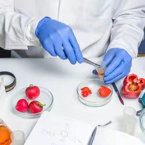 为确保食品质量提供全面的检测服务 为确保食品质量提供全面的检测服务