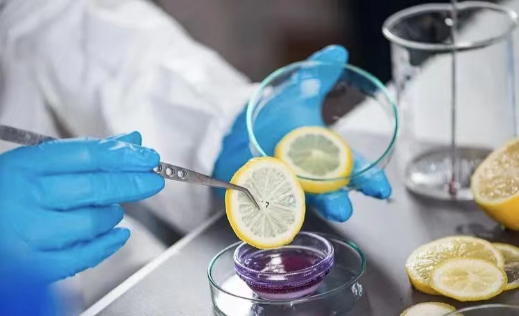 确保师生用餐安全与营养均衡