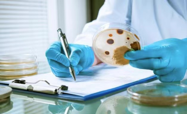 保障食品安全，守护健康生活