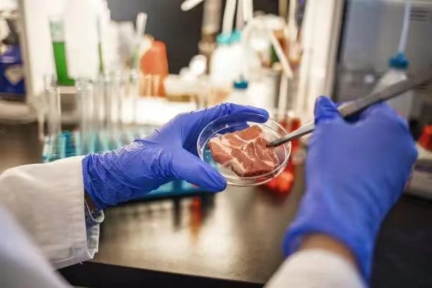 鸡蛋质检的常见方法