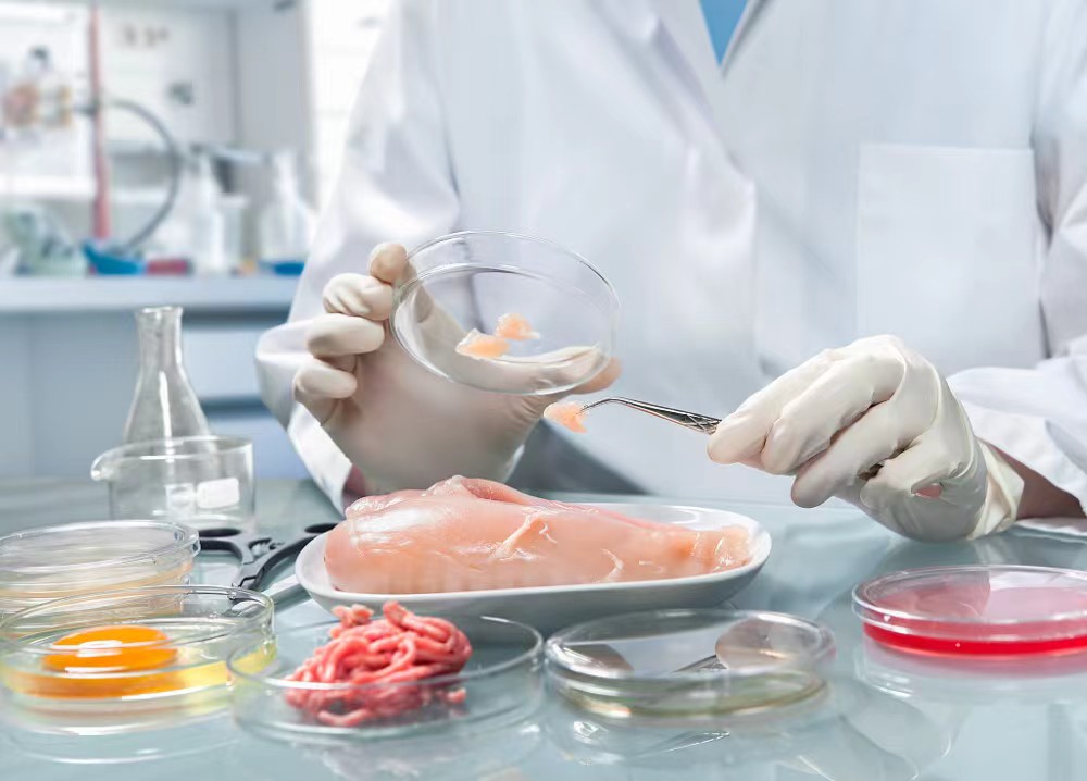 全面介绍豆制品生产中的新标准，确保产品质量与食品安全